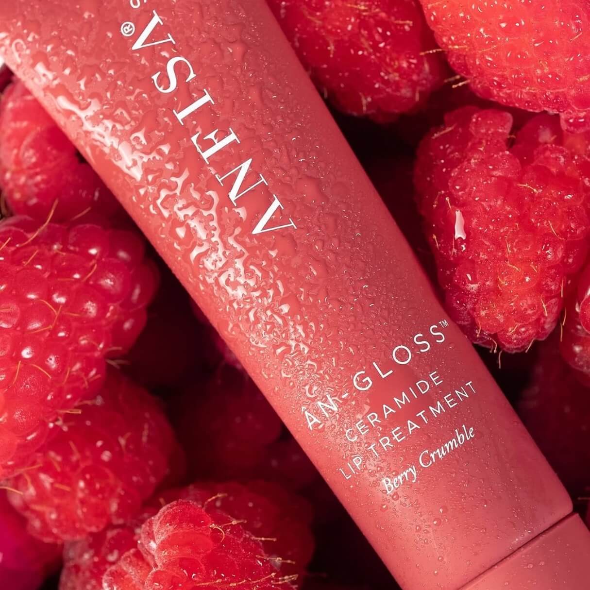 ÂN-GLOSS Ceramide Lip Tint Berry Crumble